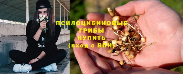 винт Аркадак