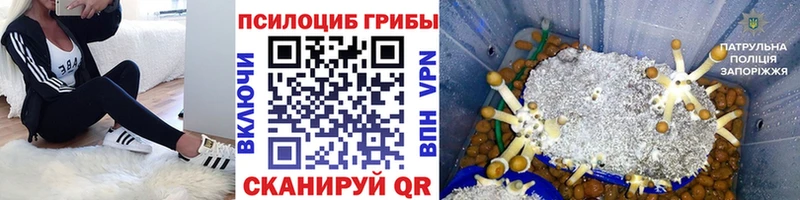 Псилоцибиновые грибы мухоморы  наркошоп  Североуральск 